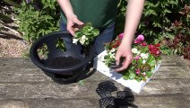 Easy fill Hanging Basket Planting Guide