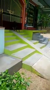 Bu keçi çıldırmış olmalı!