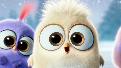 Angry Birds - Featurette - Hatchlings Christmas Greetings