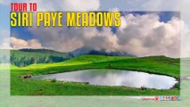 Tour To Siri Paye Meadows