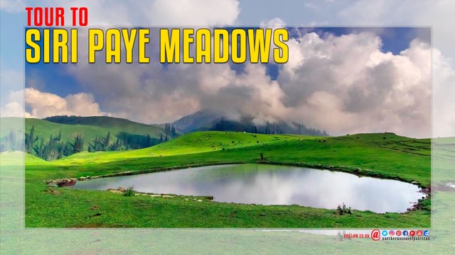 Tour To Siri Paye Meadows