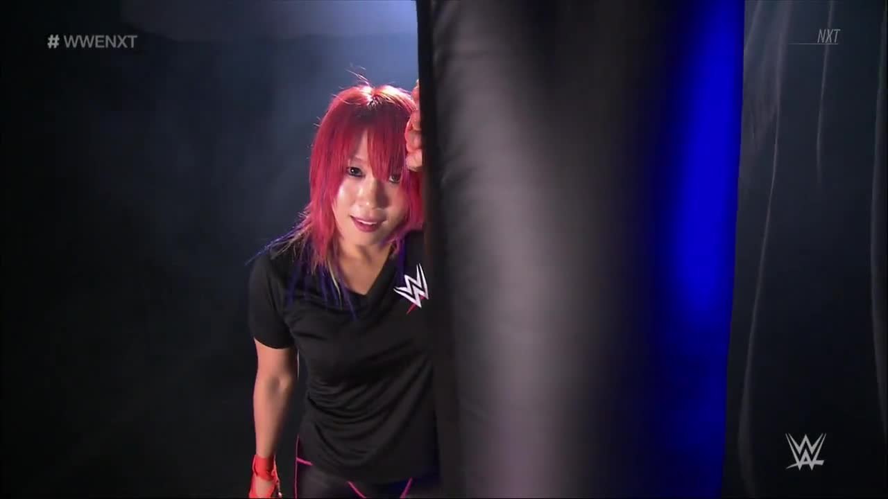 Asuka Segment