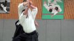 Les sélections techniques Aikido de Michel Erb Sensei Part 10