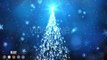 Elegant Christmas Tree Backgrounds Pack 1 | Motion Graphics - Videohive template
