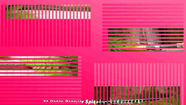 Best buy Spinning Rod St Croix Premier Spinning Rod PS66MF