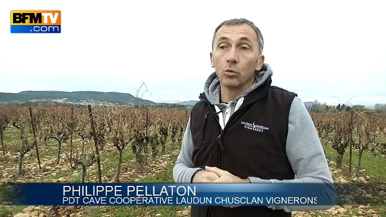 La nouvelle région Languedoc-Roussillon et Midi-Pyrénées en quête d'identité