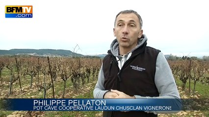 La nouvelle région Languedoc-Roussillon et Midi-Pyrénées en quête d'identité