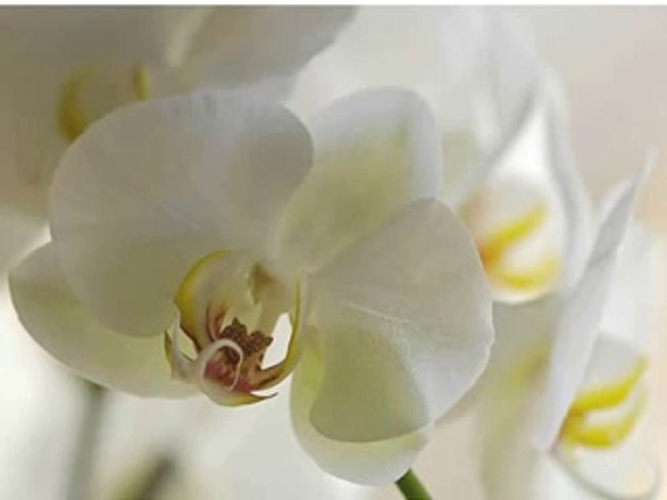 It's been a year and it's safe to say, I still think about you everyday, I might not hope or even pray I just love and miss you in my own s