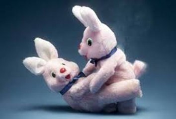 Kids At The Zoo- Compilation