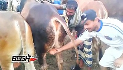 Funny Moment Eid very very funny