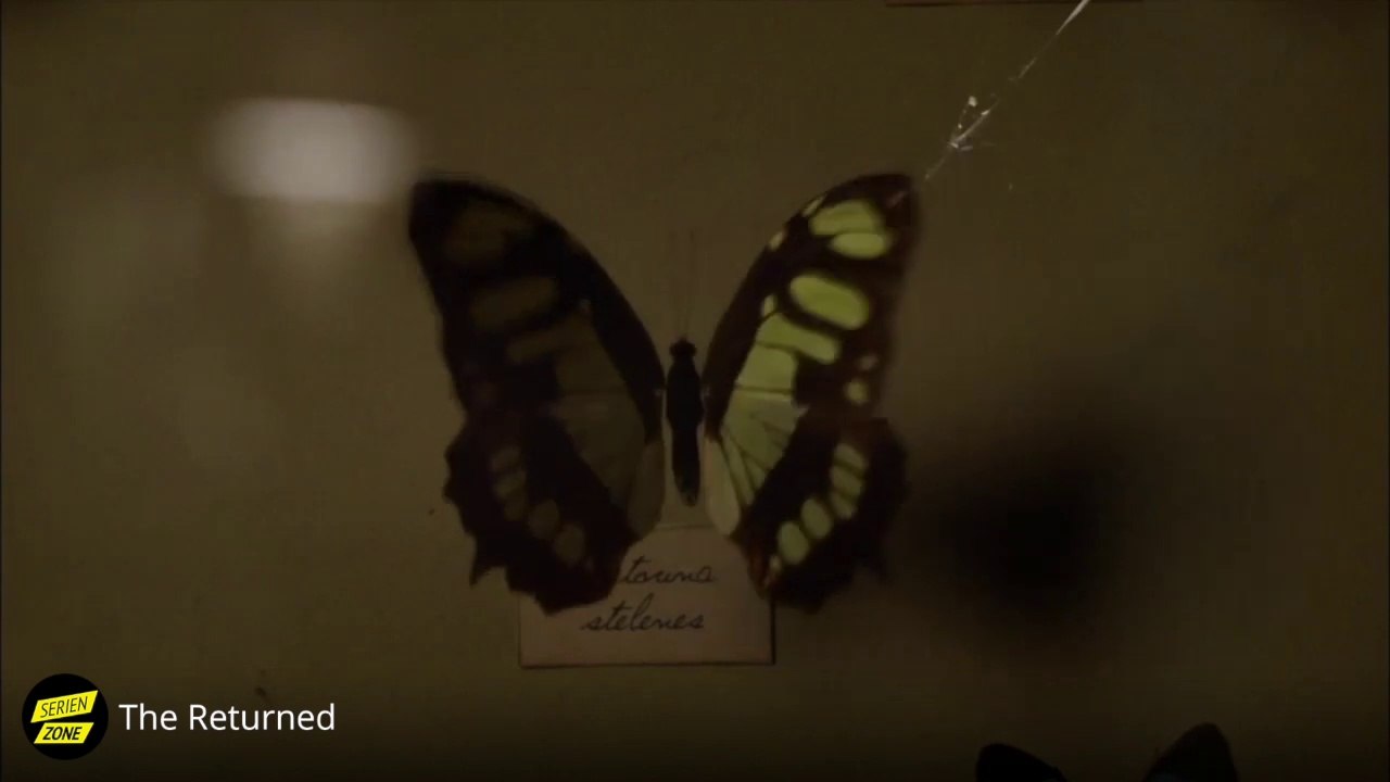 Returned Simon