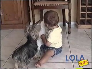 Cute Toddler Plays With a Parrot