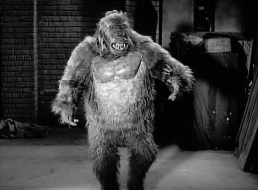 Bande-annonce de la websérie d'Arte "Poilorama"