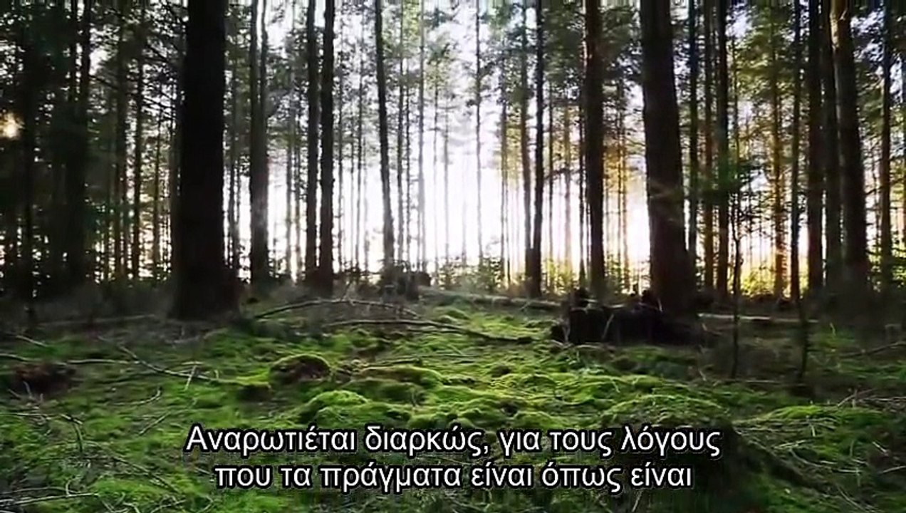 videomanDEC6