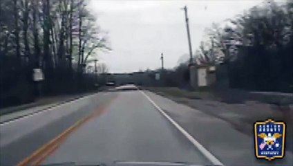 Un cerf percute une voiture et fait un vol plané