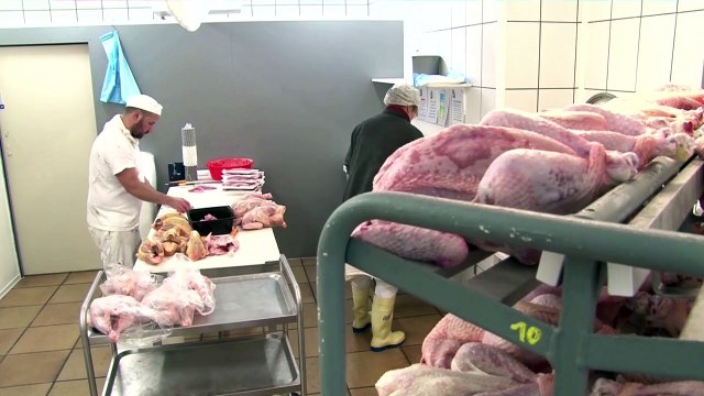 Comment une ETA aide les éleveurs de volailles