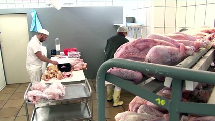 Comment une ETA aide les éleveurs de volailles