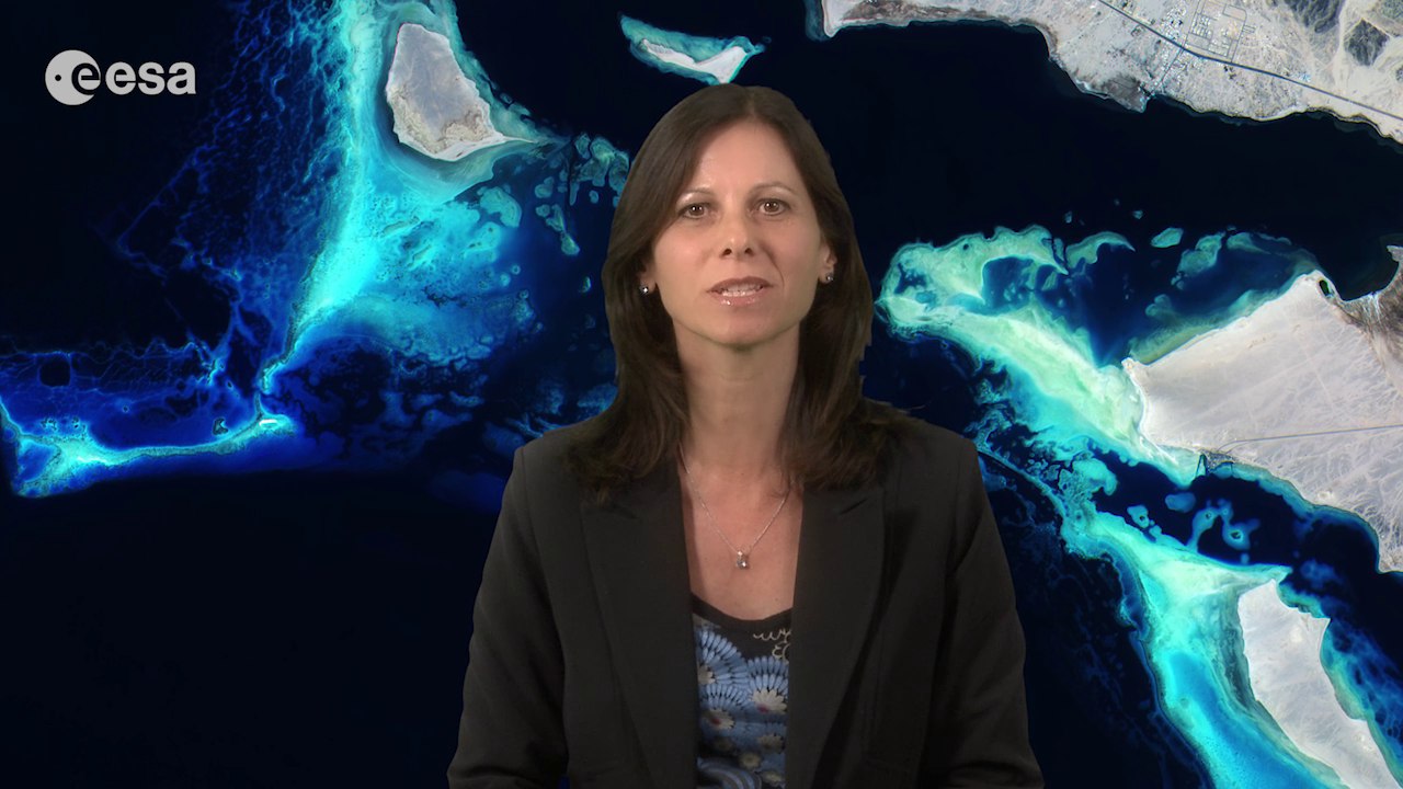 Earth from Space: Deep blue Red Sea reefs