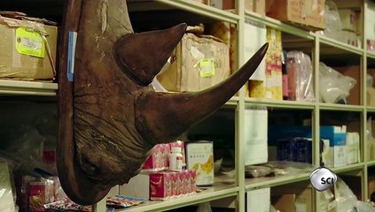 Racing Extinction Season 1 Episode 1 December 2nd 2015 (2-12-15) Part 1