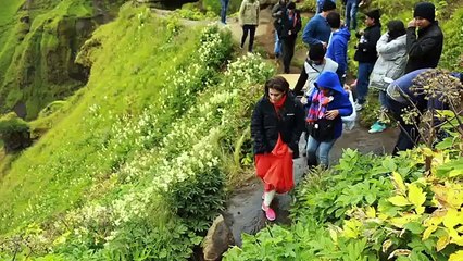 Making of Gerua ¦ Kajol, Shah Rukh Khan ¦ Dilwale ¦ A Rohit Shetty Film