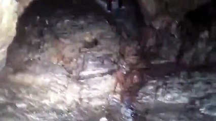 Hilarious moment man 'attacked' by thousands of flying insects as he creeps out of cave