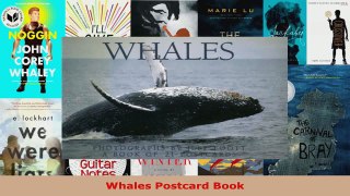 Read  Whales Postcard Book Ebook Online