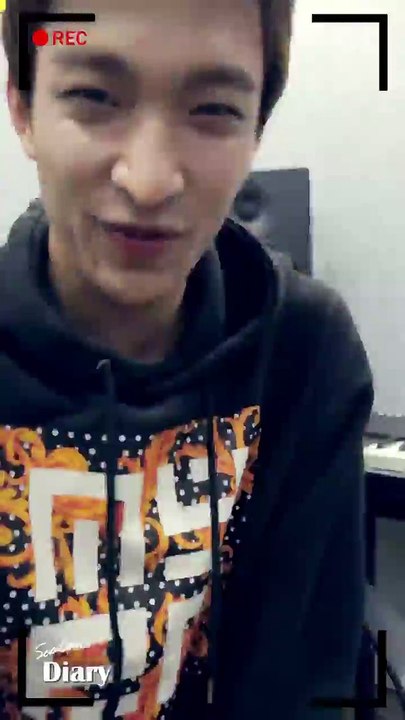 dk diary2