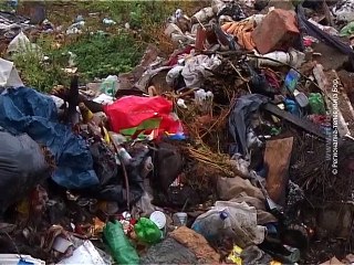 Sanacija divljih smetlišta u Boljevcu, 03. decembar 2015. (RTV Bor)