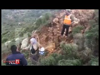 Polis "Sana zeytin toplatmam" dedi, köylü kendi tarlasında sinir krizi geçirdi