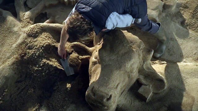 Service Plan et Parties prenantes pour la Coopération agricole - «Vache» - décembre 2015