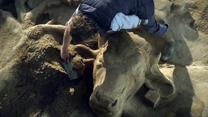 Service Plan et Parties prenantes pour la Coopération agricole - «Vache» - décembre 2015