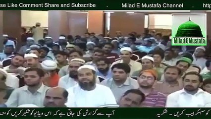 Allama Raza Saqib Mustafai Sahib