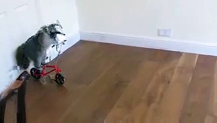 Its time to rise, shine and enjoy a great start to the day with Bindaas Breakfast on your hottest...