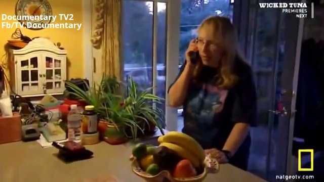 Discovery Channel Killer Whale attack Great White shark National Geographic Documentary 20