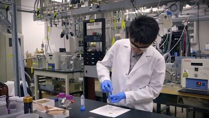 Going Green Is Substantially Simpler Than Many People Believe