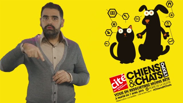 Edito LSF Chiens & Chats