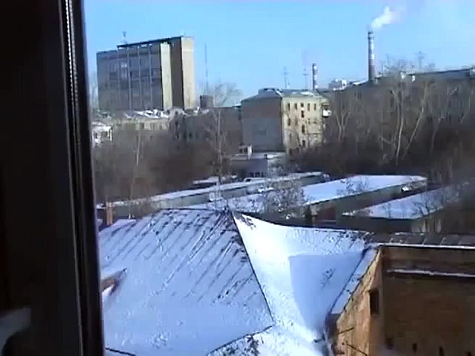 Pássaro divertindo a fazer  snowboard