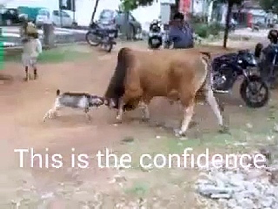 Motivation Video
