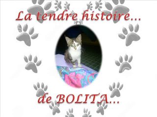 BOLITA_TENDRE_HISTOIRE