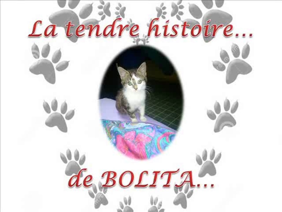 BOLITA_TENDRE_HISTOIRE