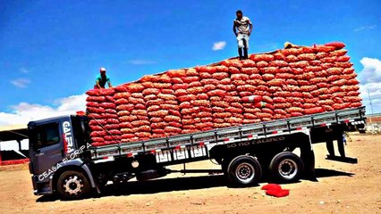 Dj Wagner CEASA Curitiba [CD Descrição/Video]