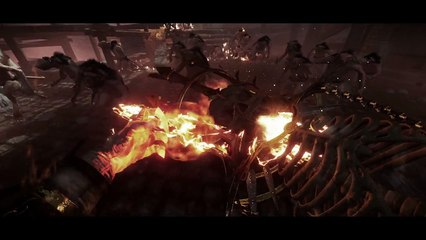 Warhammer : End Times – Vermintide - Sigmar's Blessing