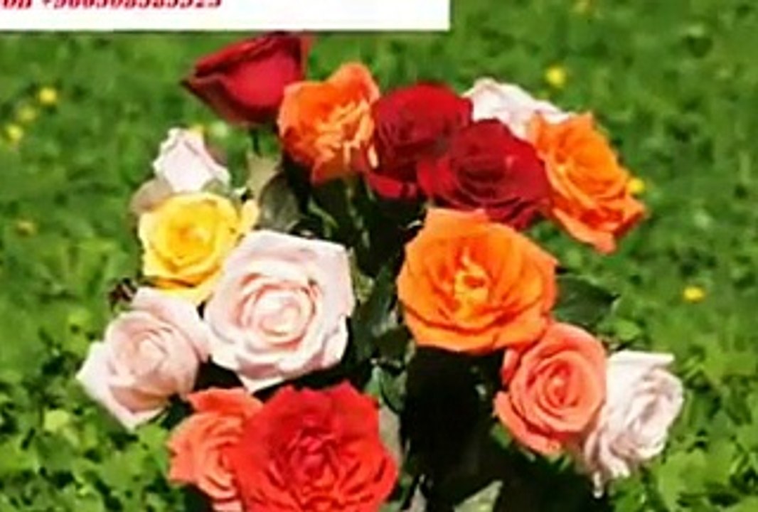 Gazal mainu yadaan andiya nay video