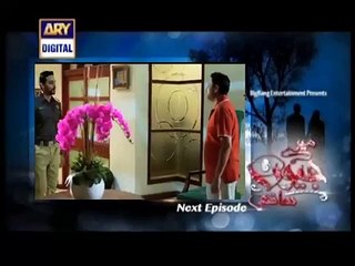 Mere Jevan Sathi Episode 20 promo