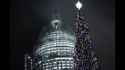 US Capitol Christmas tree switched on