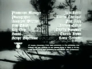 Ski Troop Attack [Full War Movie]