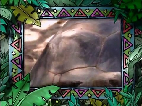 Barney Lets Go To The Zoo