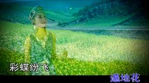 Beautiful Chinese Music【23】Traditional【The Beautiful Grassland is My Home】