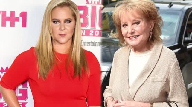 Amy Schumer Makes Barbara Walters' List