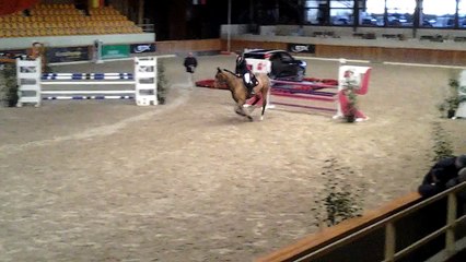 Jument 7 ans Epreuve 120 Décembre 2015 (5ème)